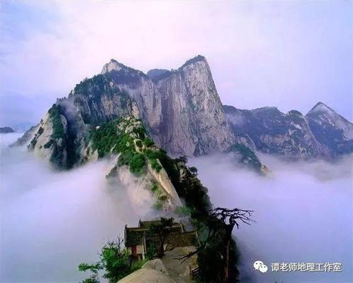 大王纸尿裤好吗